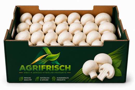 [AG-0024] Champignons weiß 3 kg